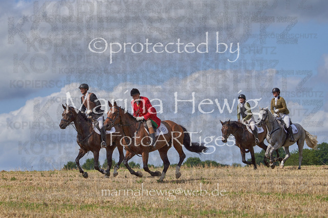 _MCH8476_Marina Hewig | Fotografie, FotoArt, PferdesportArt, Pferdesportfotografie, Landschaftsfotografie, Reisefotografie, Reise, Pferde - Realisiert mit Pictrs.com