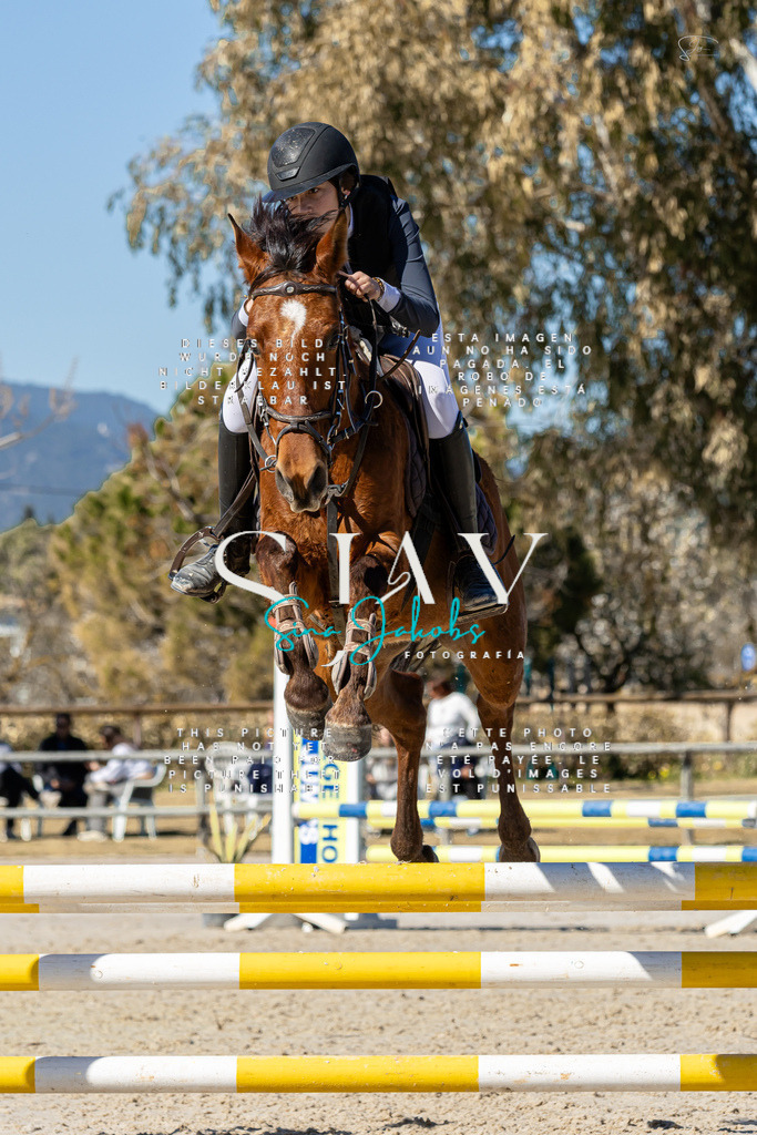 IMG_9535 | s-jay-photography - Realisiert mit Pictrs.com