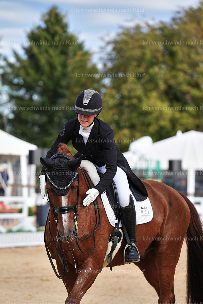 10-061-ST.GEORG SPECIAL -Marixx-3334 | working equitationturnier fotograf videograf stoibphotography marixx film working equitation deutschland reitsport turnierfotografie eventfotografie equestrian events