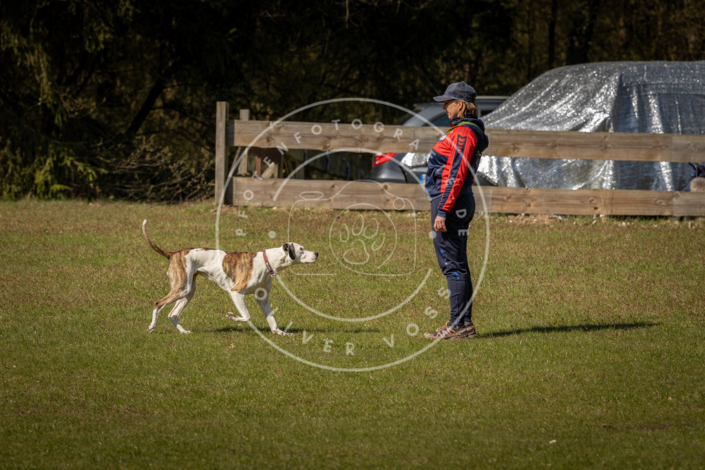 Pfotenfotografie_DV3A0743 | Hundefotografie, Tierfotograf, Pfotenfotografie, Fotoshooting Hund, Hunde Portrait, Hundesport, Hundeportraits, Heideshooting, Hunde, Sportfotograf, Hundefotograf, Turnierhundsport, THS,  - Realisiert mit Pictrs.com