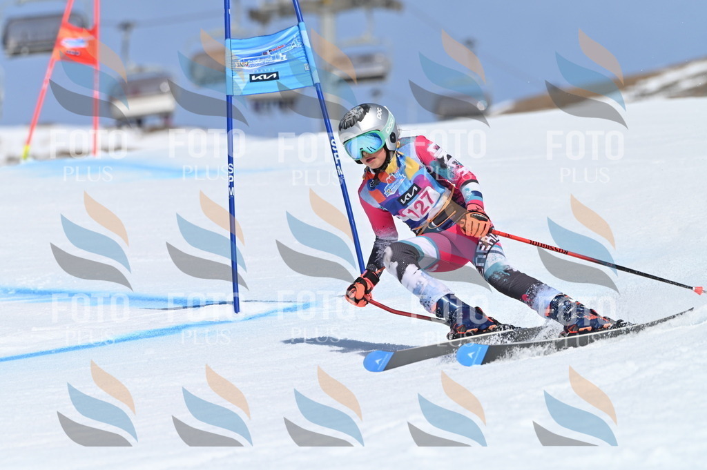 BGV_9937 | holidayphoto