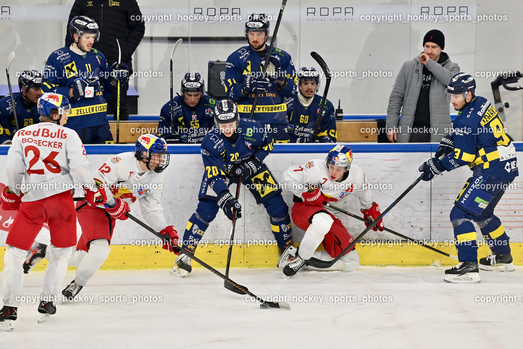 RED BULL HOCKEY JUNIORS vs. EK DIE ZELLER EISBÄREN | #26 Bosecker Lars Lion RED BULL HOCKEY JUNIORS, #12 Kolarik Leon RED BULL HOCKEY JUNIORS, #20 Rappold Kilian EK DIE ZELLER EISBÄREN, #7 Wurzer Maximilian RED BULL HOCKEY JUNIORS, #93 Johansson Robin EK DIE ZELLER EISBÄREN, #11 Flick Josef EK DIE ZELLER EISBÄREN, #55 Lindner Lorenz EK DIE ZELLER EISBÄREN, #60 Pallierer Timo EK DIE ZELLER EISBÄREN, Thomas GRABMAYR Equipment Manager EK Die Zeller Eisbären, RED BULL HOCKEY JUNIORS vs. EK DIE ZELLER EISBÄREN, RED BULL HOCKEY JUNIORS vs. EK DIE ZELLER EISBÄREN am 14.01.2025 in Salzburg (Eisarena Salzburg), Austria, (Photo by Bernd Stefan)