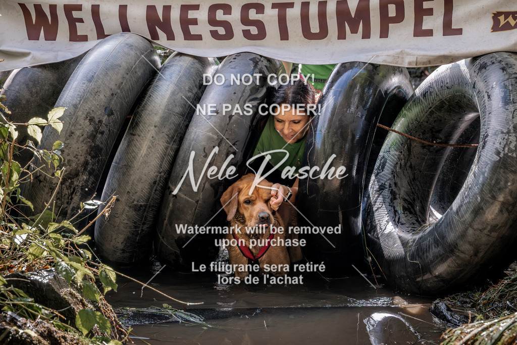 nelerasche_Hunsrück2026_Sa1400-1500_33 | nelerasche