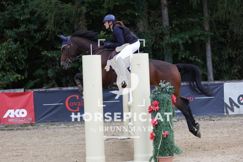 0P6A3373 | Willkommen bei Brunnmayr - Design & Fotografie – Ihrem Spezialisten für Reitturniere und Pferdeveranstaltungen in Oberösterreich, Salzburg und Bayern! Seit über 17 Jahren sind wir leidenschaftlich dabei.