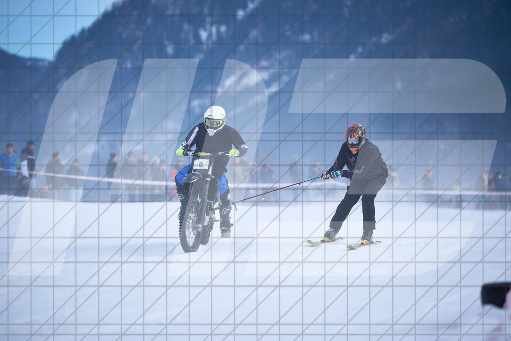 11. Holzknecht Skijöring | Skijöring am 24.01.2026: 11. Holzknecht Skijöring in Gosau am Dachstein, Oberösterreich, ÖsterreichFoto: © 2026 Martin Bihounek | mb-creative.eu
