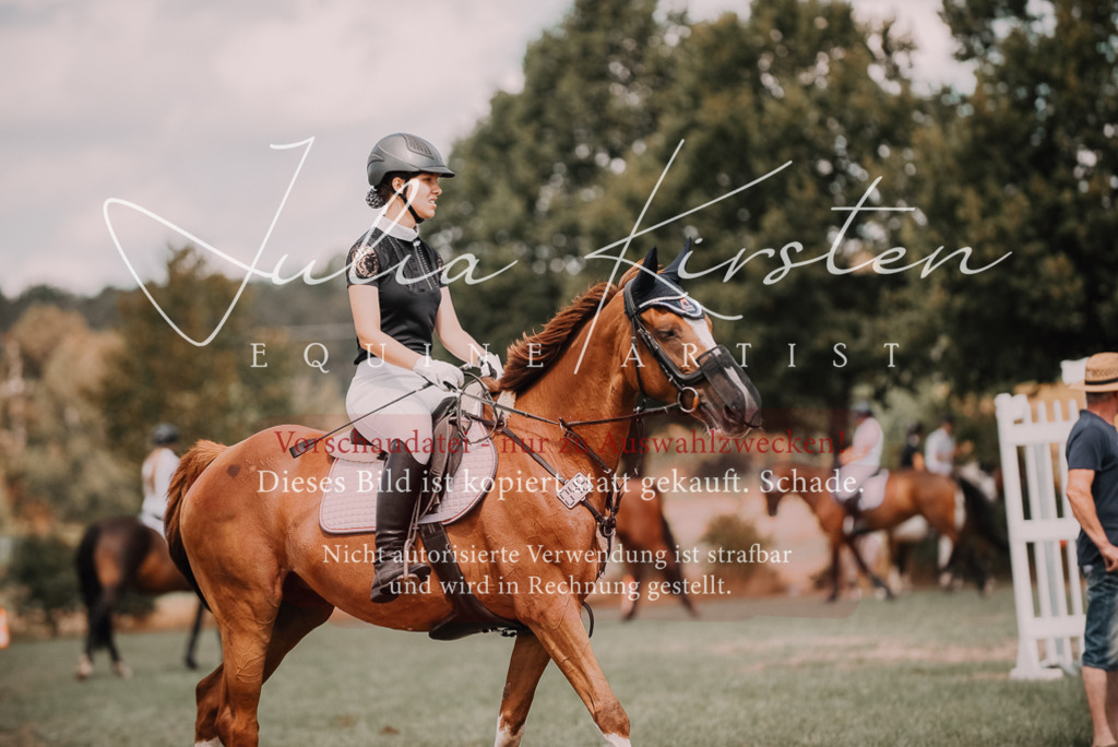 DSC_6437 | Pferde- und Turnierfotografie in Westsachsen. Pferdeportraits, Auftragszeichnungen und intuitive Kunst.