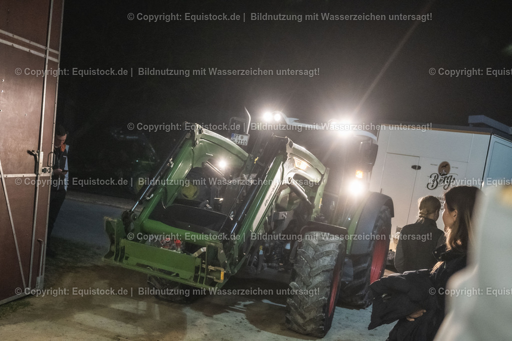 20240302_Hengstvorstellung_Marbach_TOMsPiC_1615 | equistock
