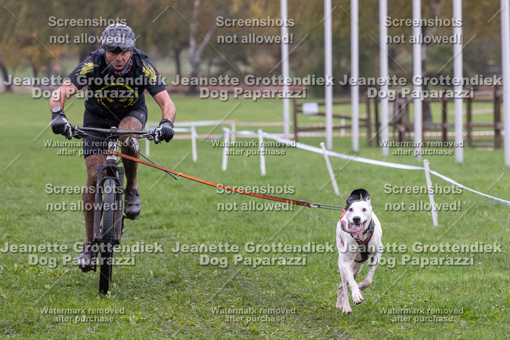 Dog Paparazzi - SD CaniX Championship 2025-931 | Dog Paparazzi Jeanette Grottendiek Fotografie & Videografie - Realisiert mit Pictrs.com