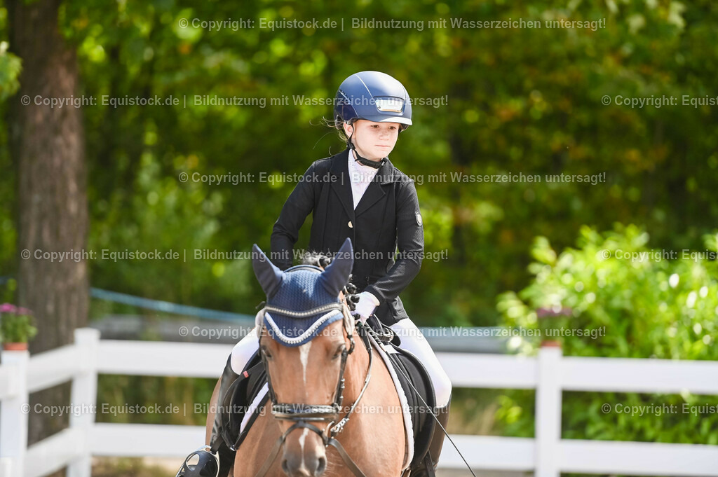 20230716_10-3_Reiter-WB Schritt - Trab - Galopp_0002 | equistock