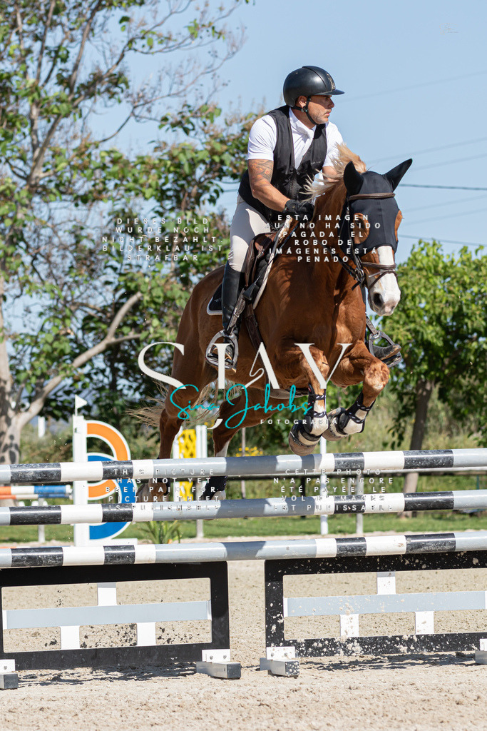 IMG_0873 | s-jay-photography - Realisiert mit Pictrs.com