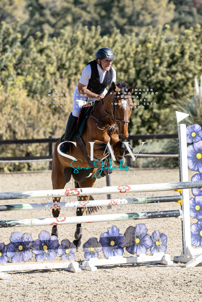 IMG_0744 | s-jay-photography - Realisiert mit Pictrs.com