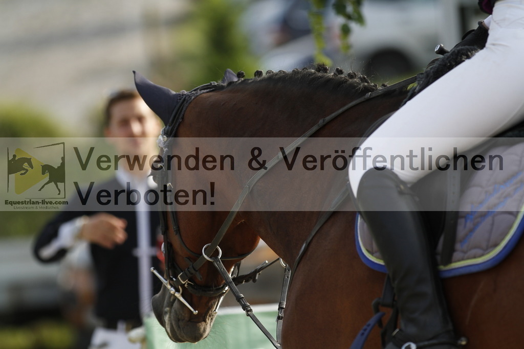 _MG_6113 | equestrian-live-com
