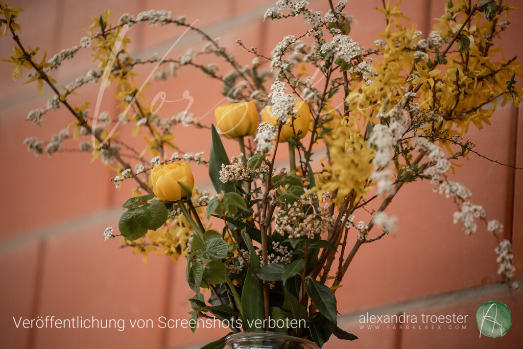 250405_Barop_00_019 | farbklaex.com