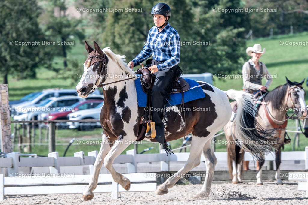 HOB08490 | BS-foto