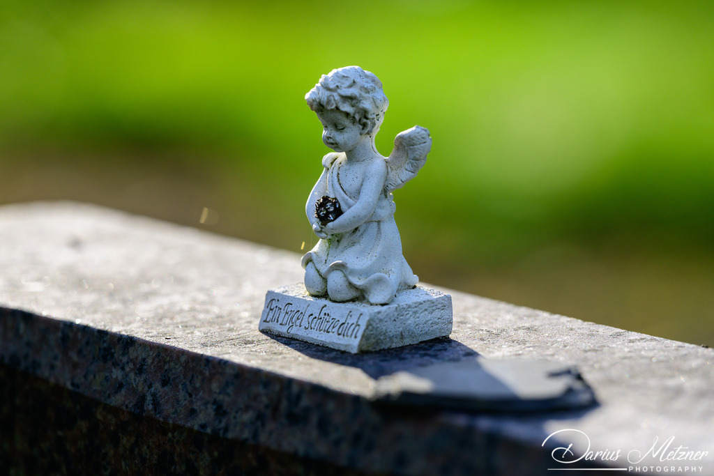 Der alte Hauptfriedhof in Mainz | Der alte Hauptfriedhof in Mainz