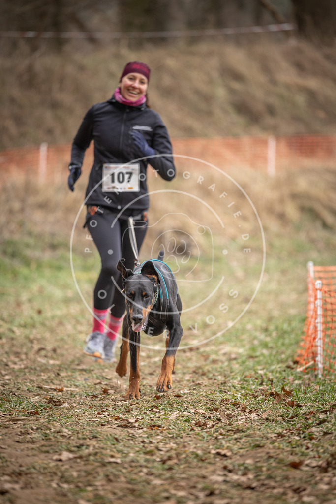 Pfotenfotografie_DV3A7505 | Hundefotografie, Tierfotograf, Pfotenfotografie, Fotoshooting Hund, Hunde Portrait, Hundesport, Hundeportraits, Heideshooting, Hunde, Sportfotograf, Hundefotograf, Turnierhundsport, THS,  - Realisiert mit Pictrs.com