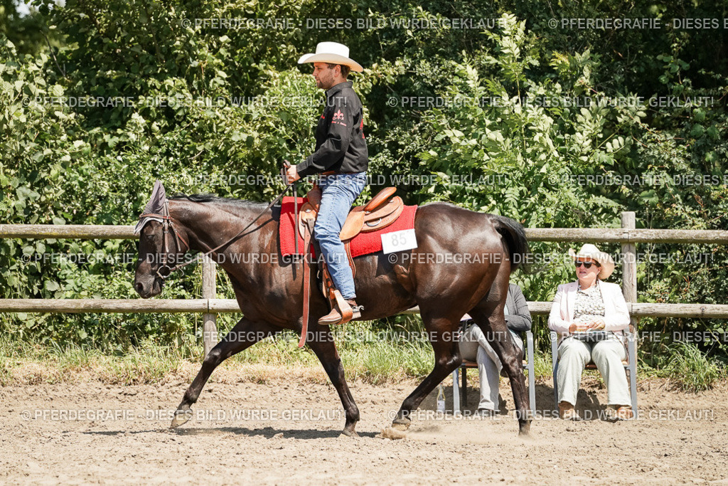 DSC09472 | Pferdegrafie