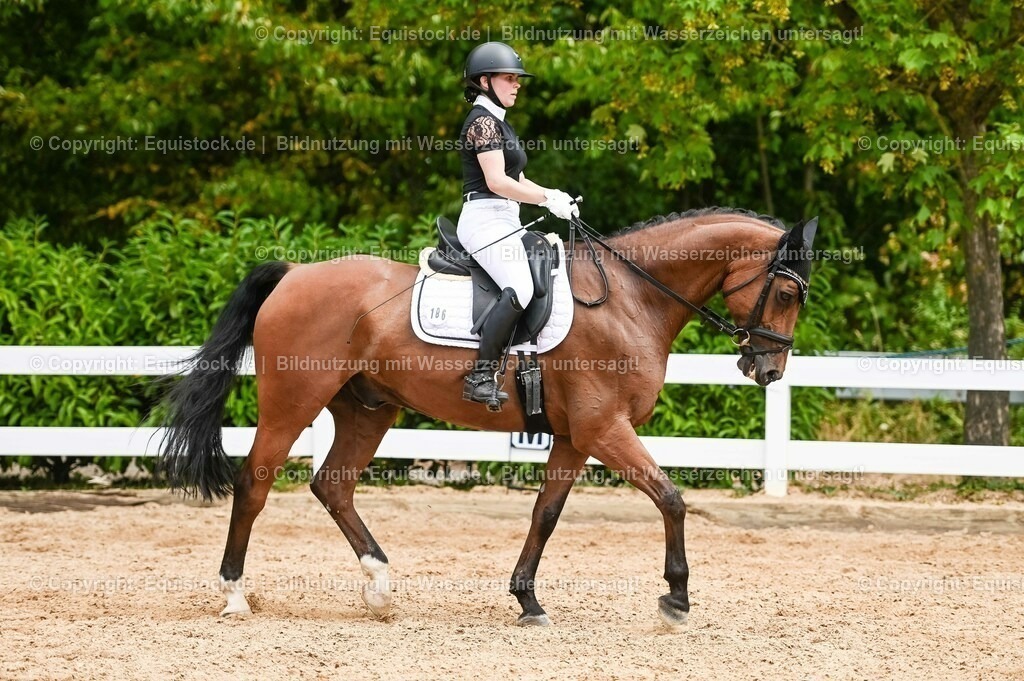 20230715_05_Dressurprüfung Kl.A++_0318 | equistock