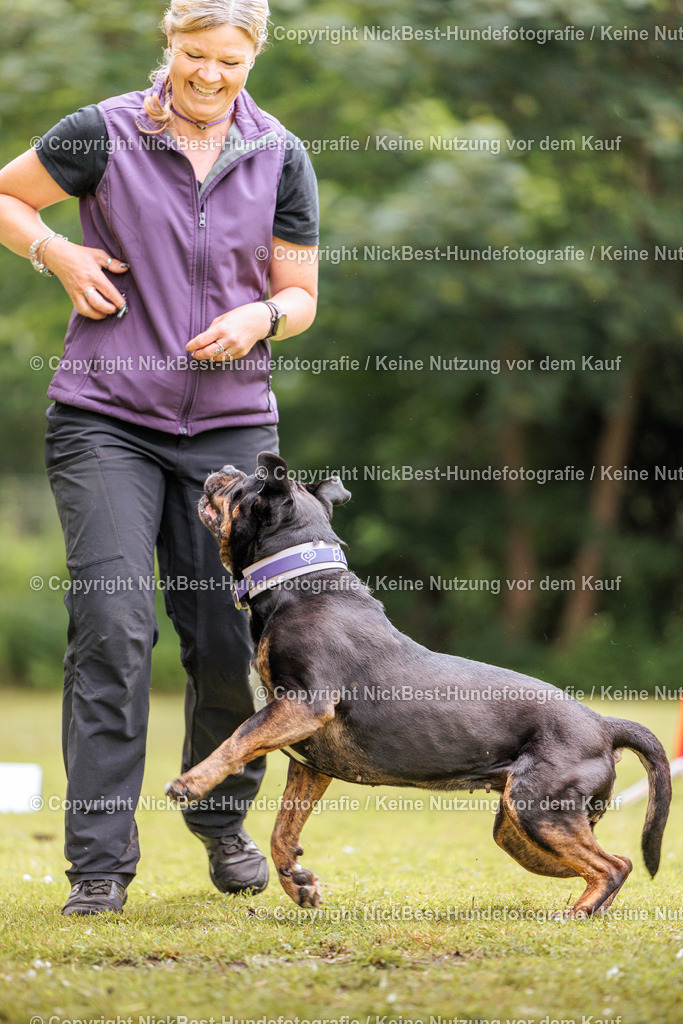 RO-Blumenthal-2026-Nickbest-Hundefotografie-1740 | Dein Hund! Dein Moment! Deine Erinnerungen! Hundefotografie in Bremen Blumenthal. Ich fange die besonderen Momente deines Vierbeiners ein – ob Indoor mit Blitzanlage oder in der freien Natur. Sicher dir dein Moment und dein Termin für eure Erinnerungen.