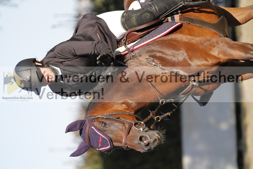 _MG_4413 | equestrian-live-com