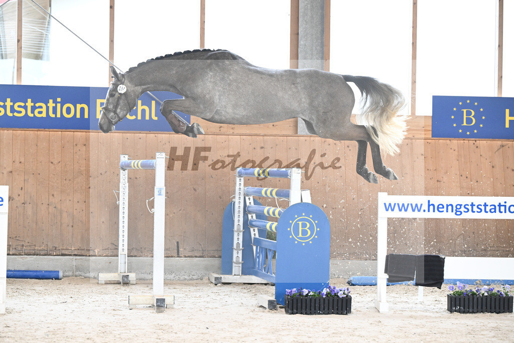 Kat-Nr. 37 Ohara v. Checkter M_Zobl_7240358 | hf-fotografie - Realisiert mit Pictrs.com