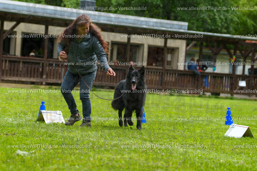 @allesWIRTHgut_Tierfotografie - www.allesWIRTHgut.de - 7R501723 | Professionelle Tierfotografie in Mönchengladbach von Daniel Wirth (allesWIRTHgut). Liebevolle & natürliche Bilder von Hunden & Katzen für unvergessliche Erinnerungen.