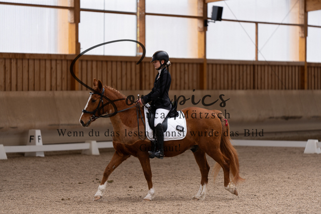A7507145 | Pferdefotograf
