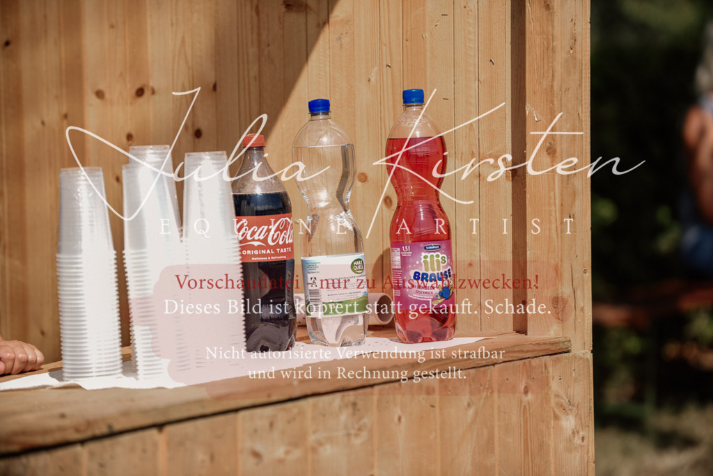 DSC_8768 | Pferde- und Turnierfotografie in Westsachsen. Pferdeportraits, Auftragszeichnungen und intuitive Kunst.