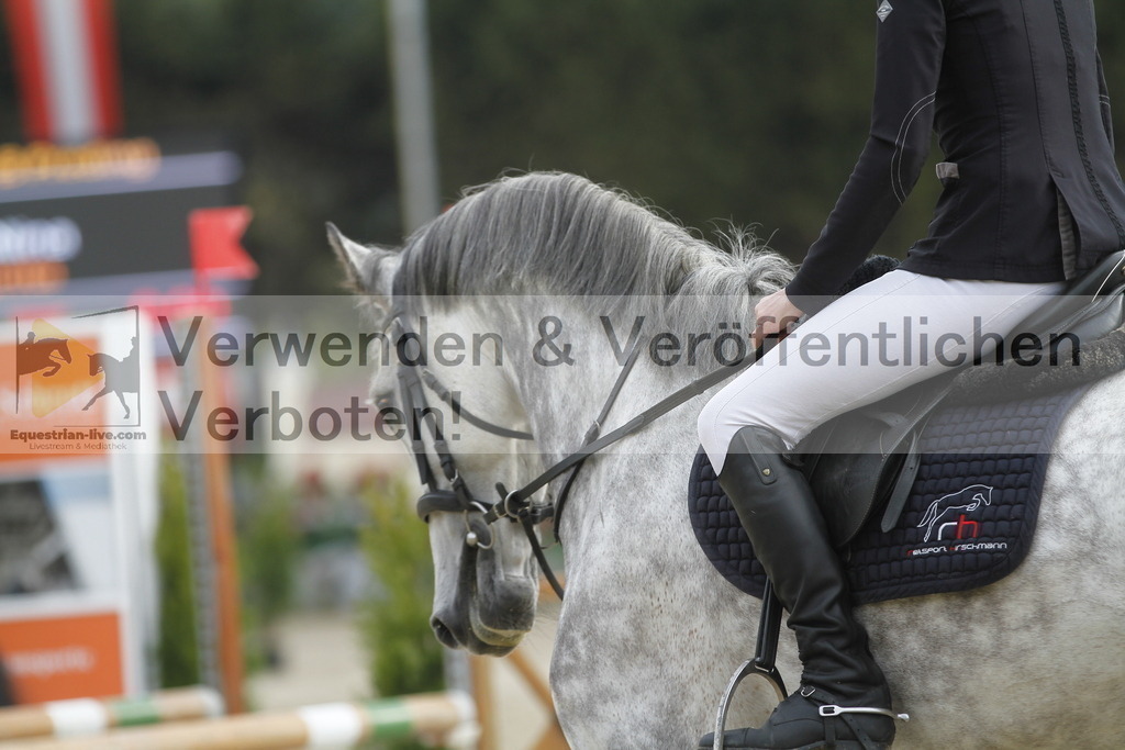 _MG_0395 | equestrian-live-com