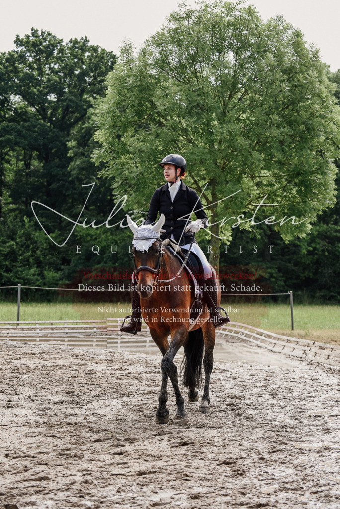 DSC_9883 | Pferde- und Turnierfotografie in Westsachsen. Pferdeportraits, Auftragszeichnungen und intuitive Kunst.