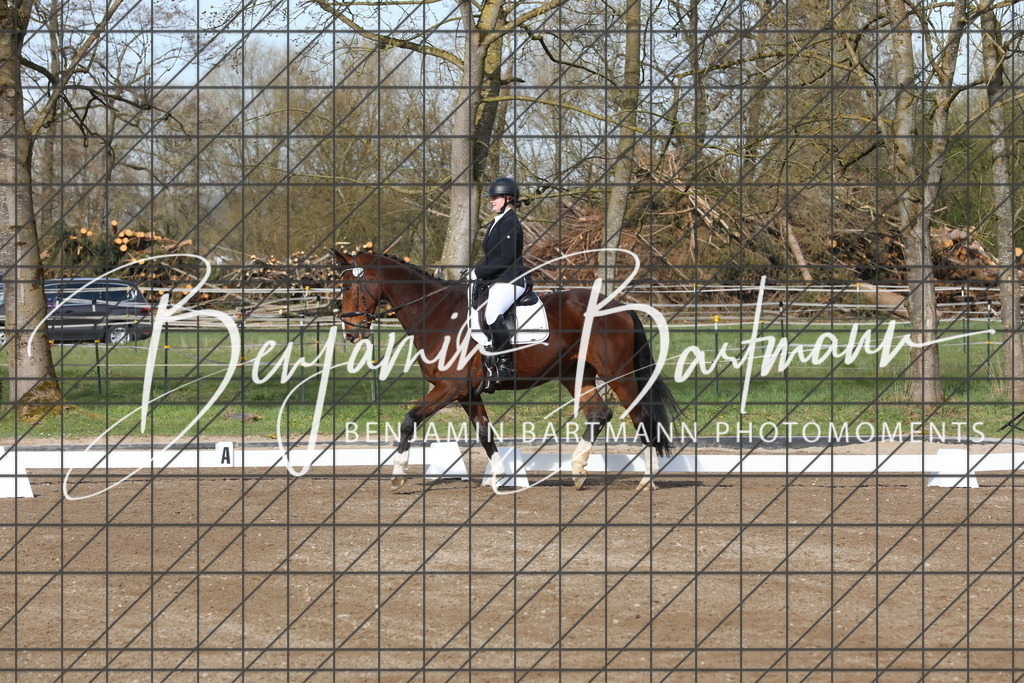 AZ2A2797 | Benjamin Bartmann Photomoments