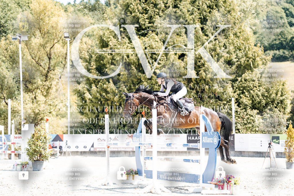 CK900407 | Turnierfotografie Pferdefotografie Trier Rheinland-Pfalz Pferdesport Reitsport Tierfotografie Sportfotografie Pferdevideo Pferdevideografie Equestrianvideography equestrianphotography  - Realisiert mit Pictrs.com