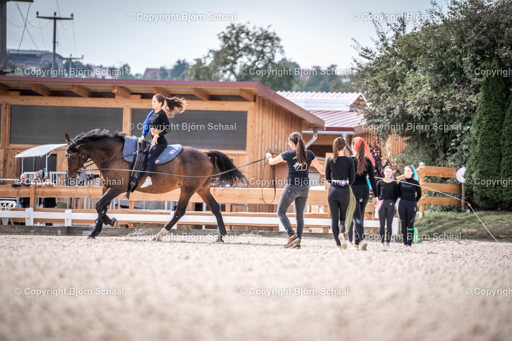 KBB09799 | BS-foto