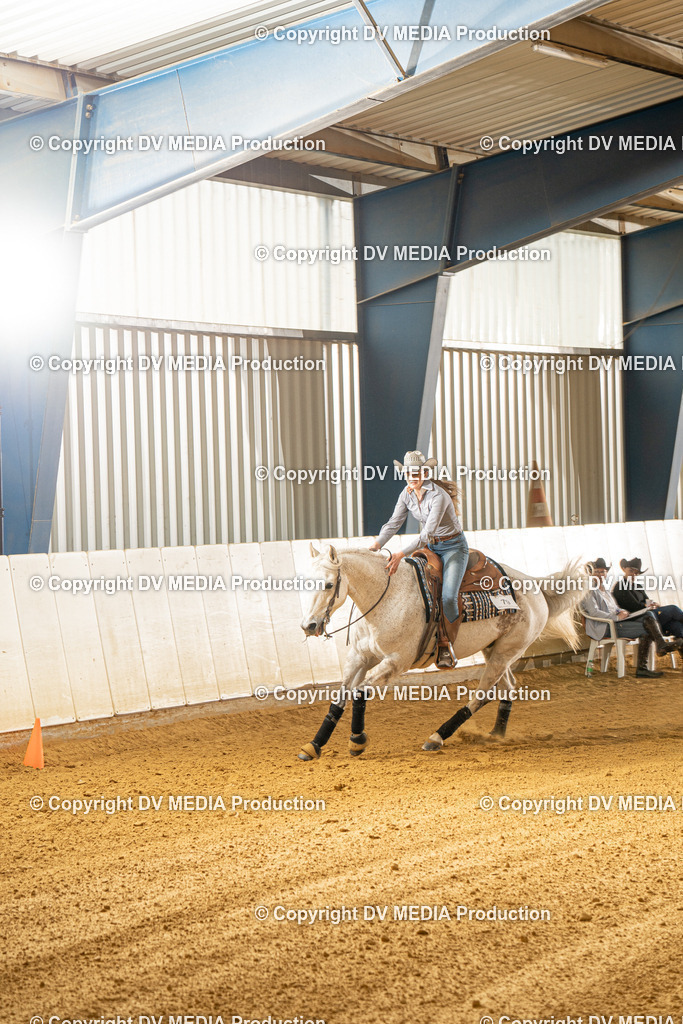 MIT00490 | dv-media-shop - Realisiert mit Pictrs.com