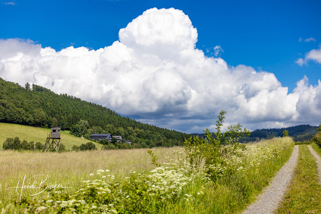 Westfeld und Umgebung 079 | Bilder und Impressionen zu jeder Jahreszeit aus dem Sauerland im Naturpark Sauerland-Rothaargebirge - Realisiert mit Pictrs.com