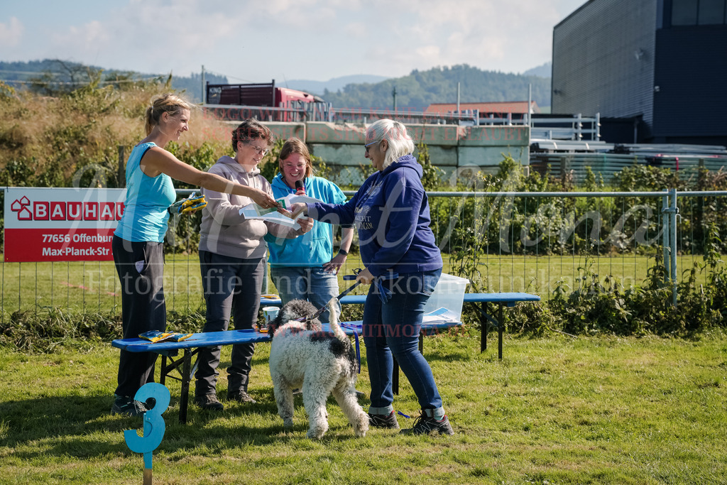 20250928_Hunderennen-760 | MuT (Mensch und Tier) mit Mona - Fotografie und Tierkommunikation - Realisiert mit Pictrs.com