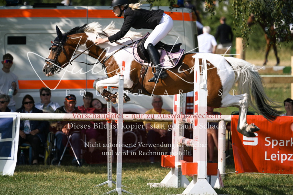 DSC_1103 | Pferde- und Turnierfotografie in Westsachsen. Pferdeportraits, Auftragszeichnungen und intuitive Kunst.