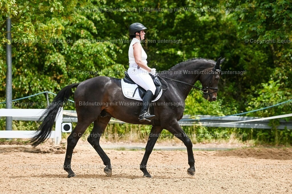 20230715_05_Dressurprüfung Kl.A++_0154 | equistock