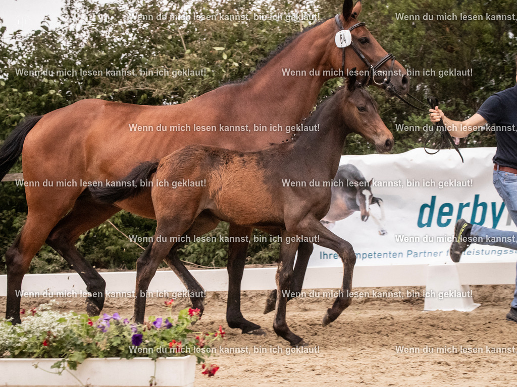 A10I6540 | photographylinaismer - Realisiert mit Pictrs.com