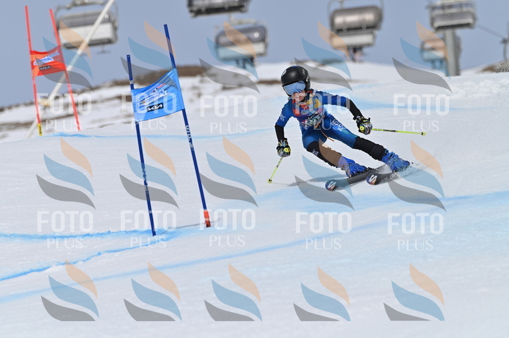 BGV_4575 | holidayphoto