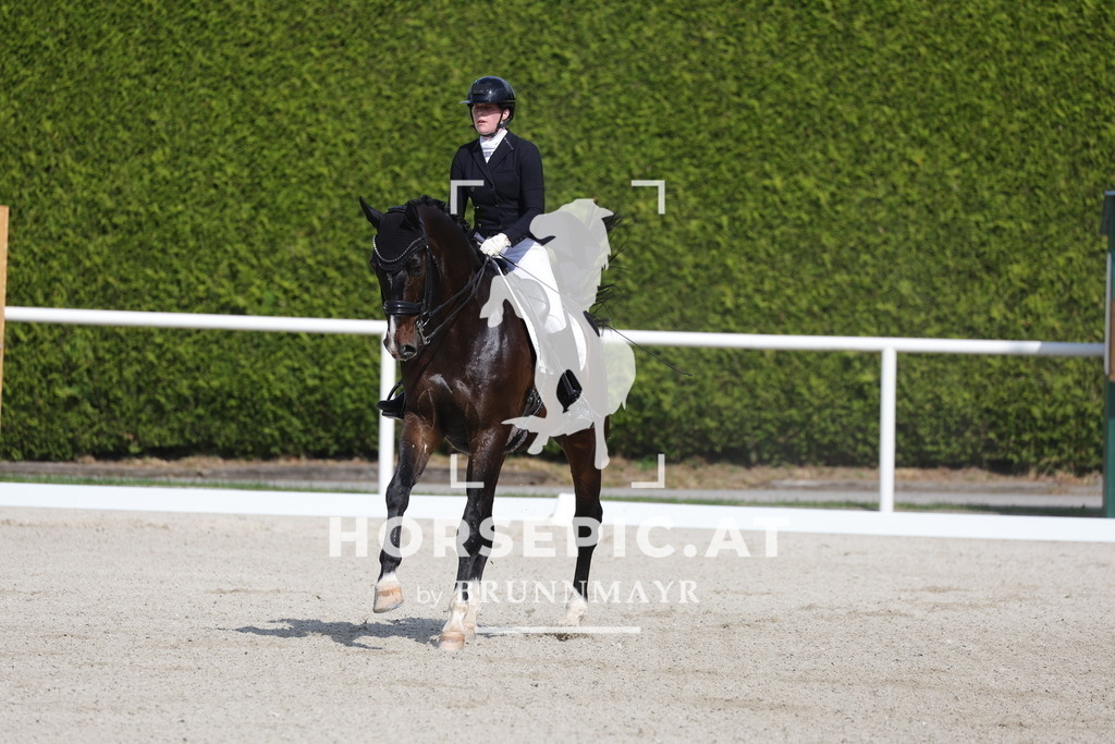 0P6A6731 | Willkommen bei Brunnmayr - Design & Fotografie – Ihrem Spezialisten für Reitturniere und Pferdeveranstaltungen in Oberösterreich, Salzburg und Bayern! Seit über 17 Jahren sind wir leidenschaftlich dabei.