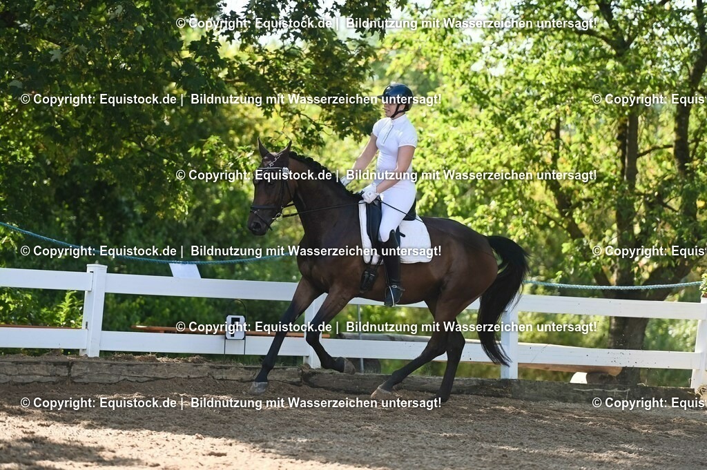 20230715_06_Dressurpferdeprfg. Kl.A_0282 | equistock