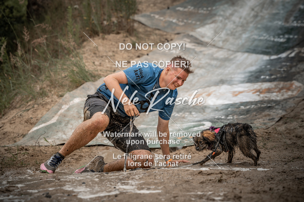 nelerasche_sa1200-1230_116 | nelerasche