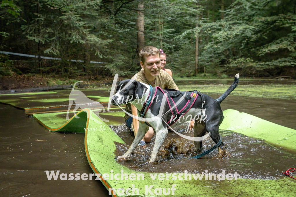 1533_ZZ91301-Bearbeitet | kk-dogfotos