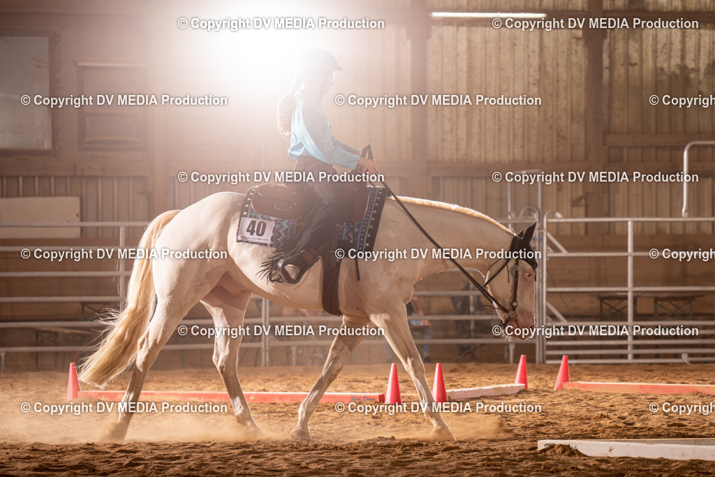 NID00846 | dv-media-shop - Realisiert mit Pictrs.com