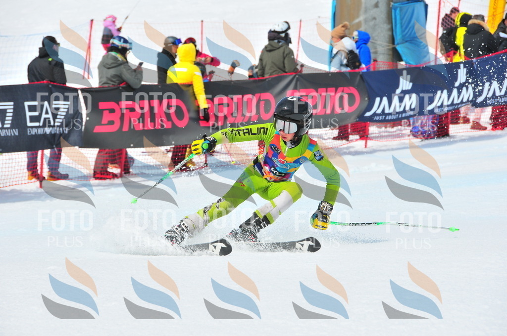 DSC_6651 | holidayphoto