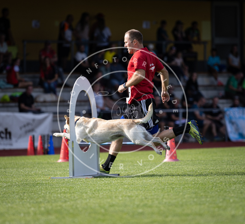 Pfotenfotografie_DV3A1932 | Hundefotografie, Tierfotograf, Pfotenfotografie, Fotoshooting Hund, Hunde Portrait, Hundesport, Hundeportraits, Heideshooting, Hunde, Sportfotograf, Hundefotograf, Turnierhundsport, THS,  - Realisiert mit Pictrs.com