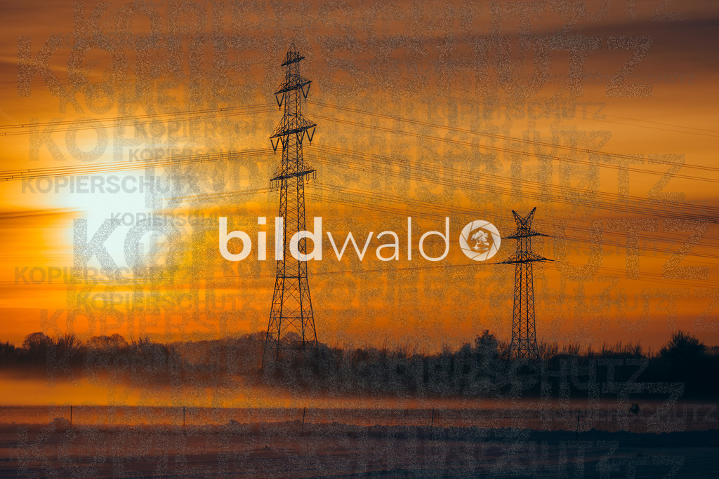 _DSC5446 | BILDWALD - eine Auswahl an Bildern von Thomas Perrotton zum bestellen und genießen. Alle Bilder von Thomas Perrotton - Alle Bilder mit einer SONY Kamera gemacht - SONY TAMRON SIGMA PHOTOSHOP LIGHTROOM BILDWALD Online kaufen Bilderwald Wandbilder - Realisiert mit Pictrs.com