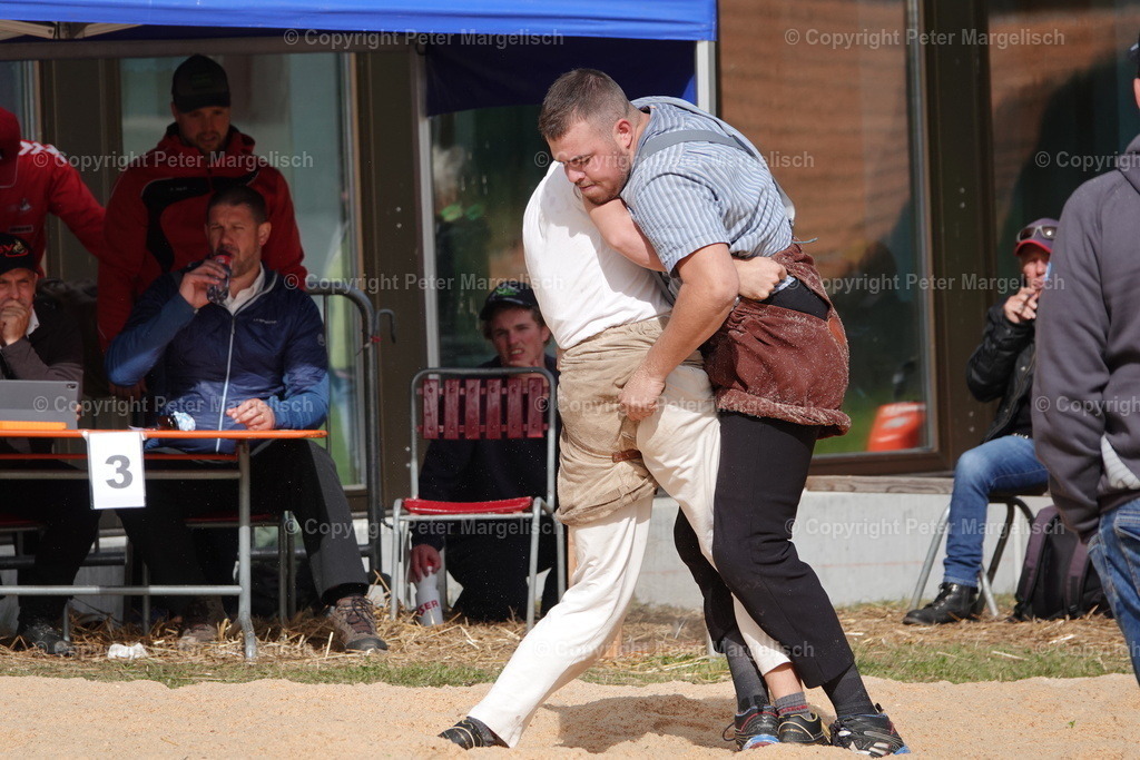 DSC00078 | Schwingen - Realisiert mit Pictrs.com