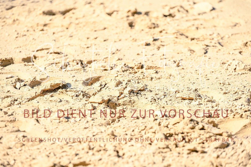 Schugtsche-Aluta25-50.Dressurpferdeprf.L-270 | Schugtsche Fotografie - Realized with Pictrs.com